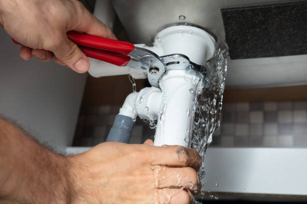 Best Professional water damage repair  in Centre Grove, NJ