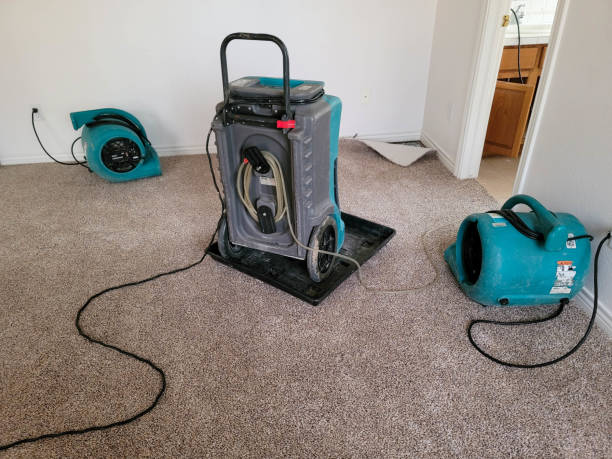 Best Flood damage cleanup  in Centre Grove, NJ
