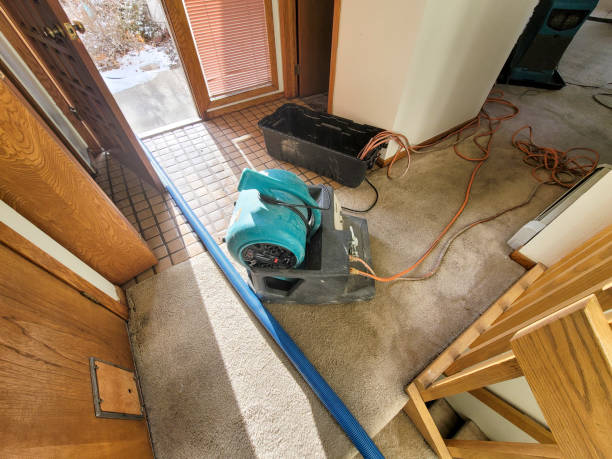 Best Basement water damage restoration  in Centre Grove, NJ