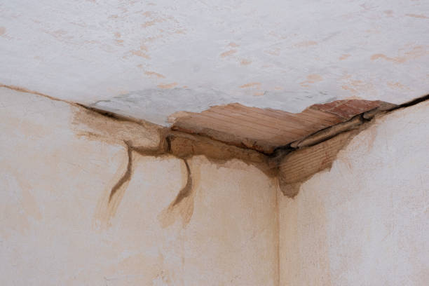 Best Water damage cleanup near me  in Centre Grove, NJ