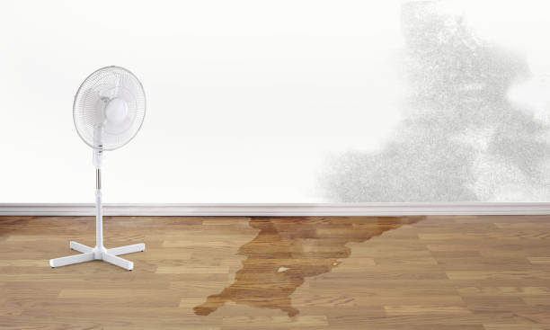Best Ceiling water damage repair  in Centre Grove, NJ