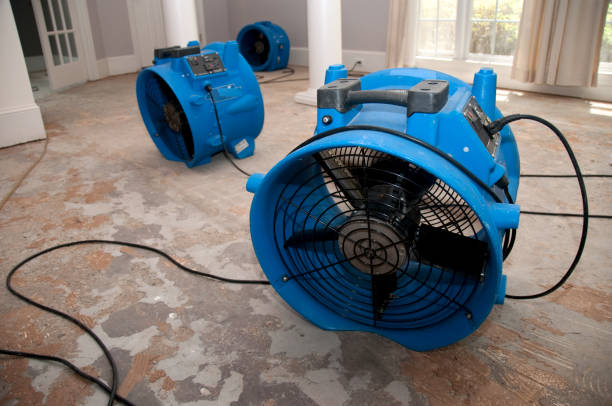 Best Flood restoration services  in Centre Grove, NJ